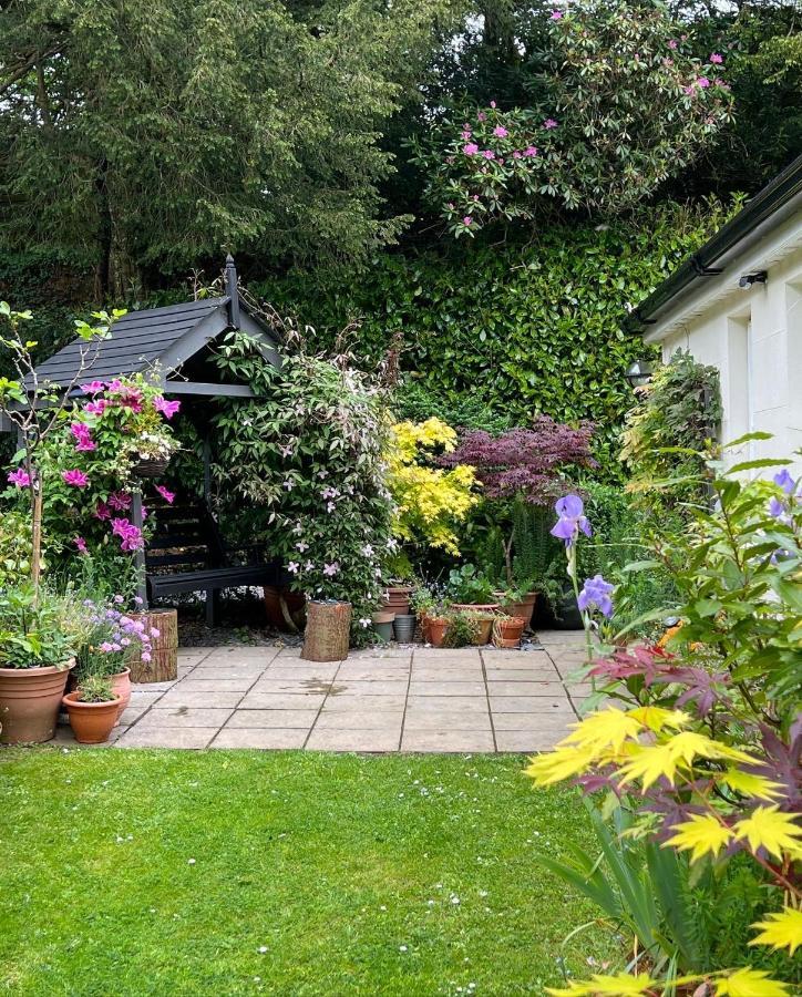 Hollyhocks Holiday Home- 2 Bedroomed Ground Floor Apartment Sleeps 5 Ivybridge Exteriér fotografie
