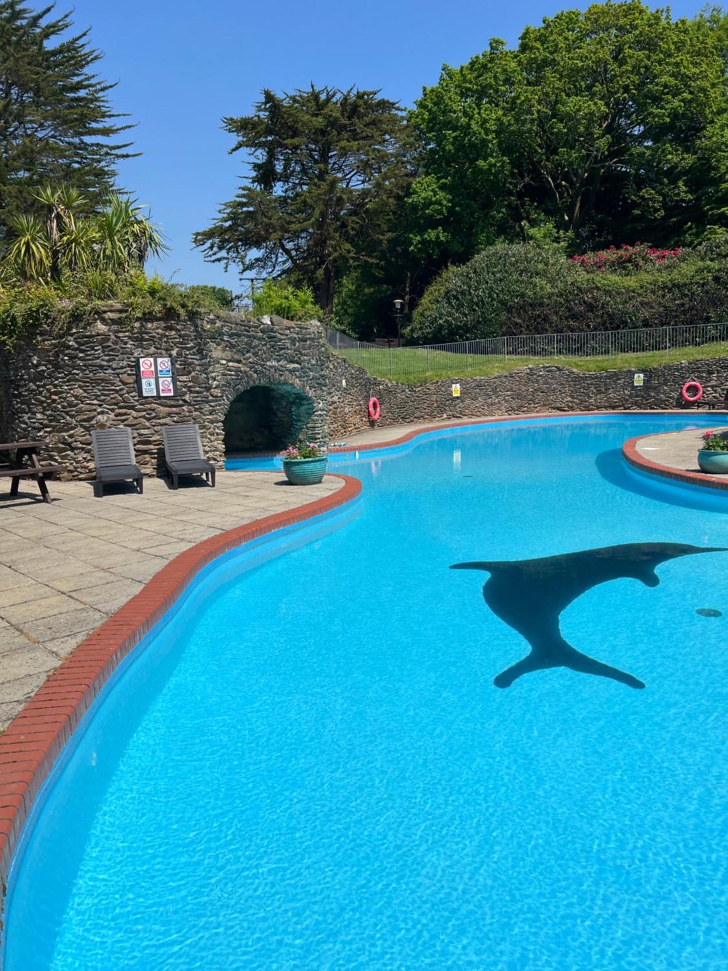 Hollyhocks Holiday Home- 2 Bedroomed Ground Floor Apartment Sleeps 5 Ivybridge Exteriér fotografie